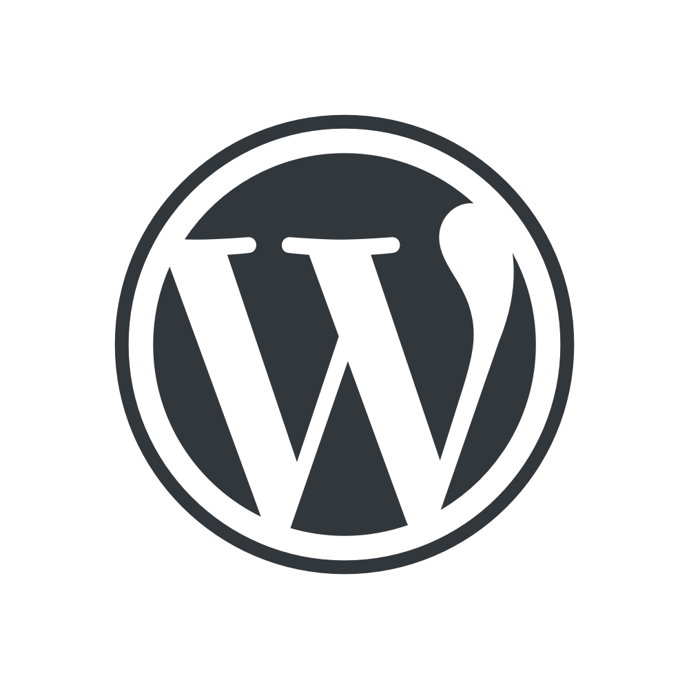 WordPress website audit seo